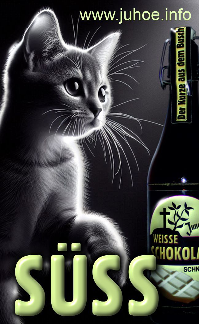 Ein junge graue Katze springt aus einem dunklen Hintergrund, sie ist von oben beleuchtet. Links im Vordergrund steht eine WEISSE SCHOKOLADE-SCHNABBES-Flasche.